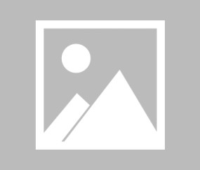 爱游戏娱乐-安切洛蒂与阿隆索深入交流